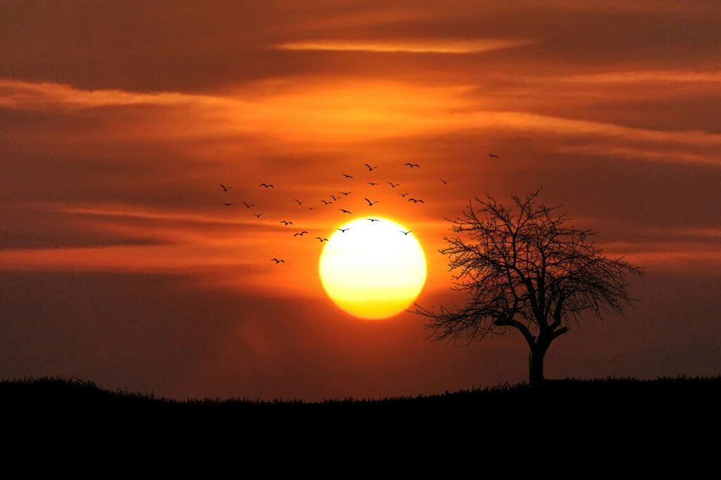 Les Murmures du Soleil Mourant