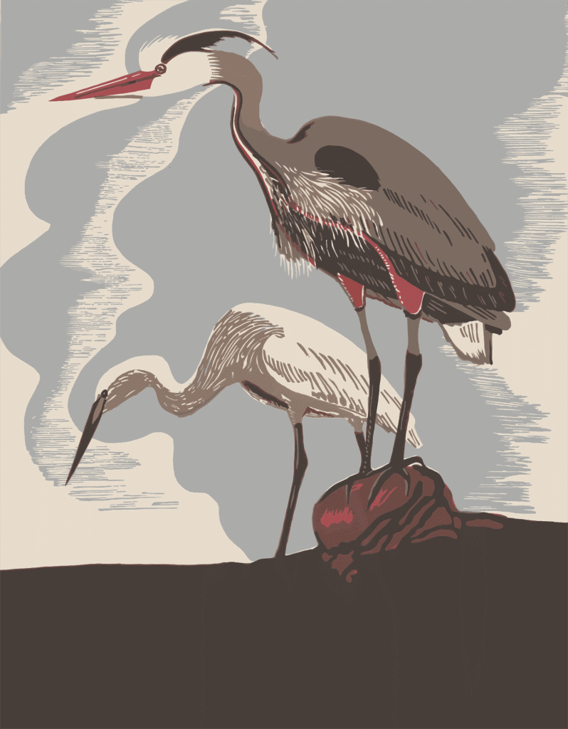Silence de Plumes