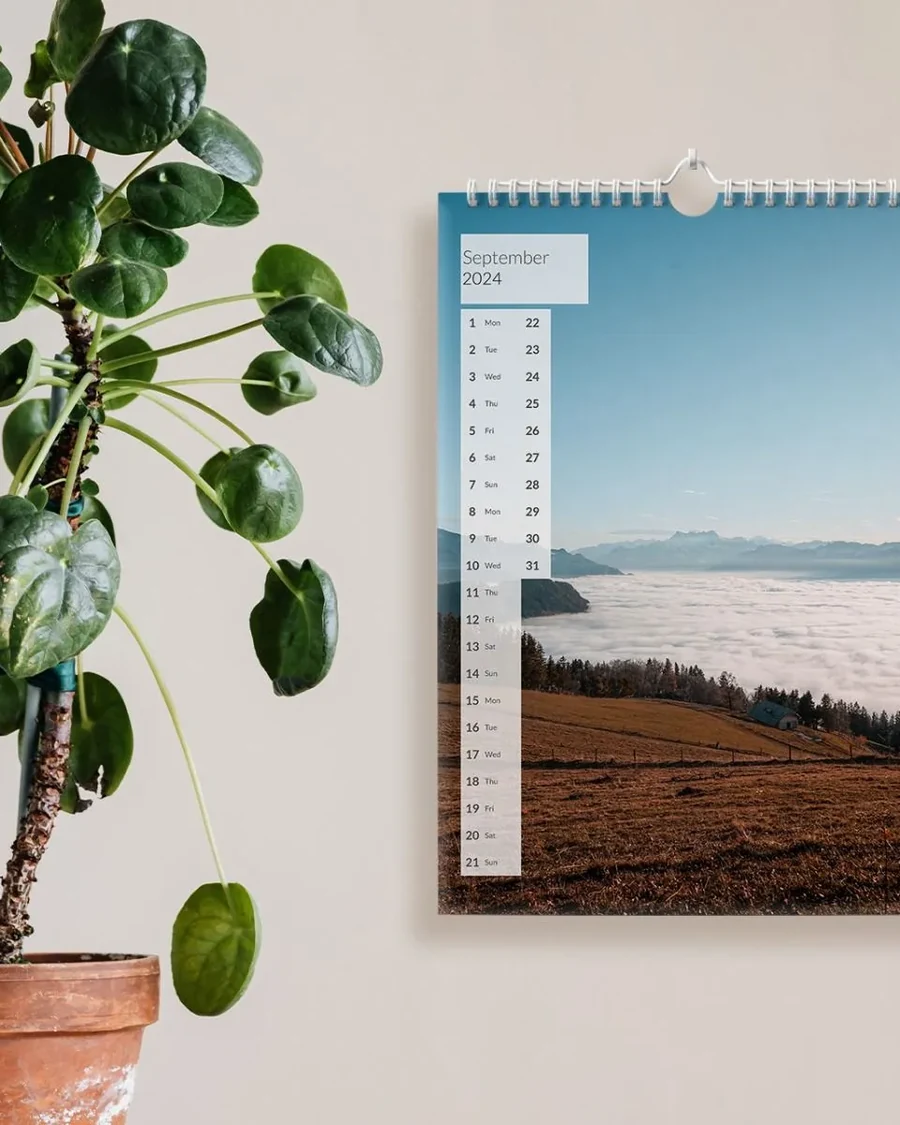 Calendrier mural accroché près d'une plante